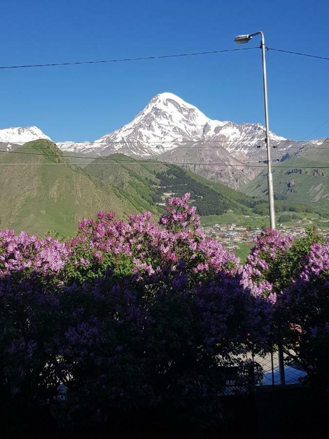 Hilltop Kazbegi Exterior foto